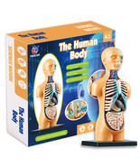 kids early education human body structure toy - $30.04 CAD