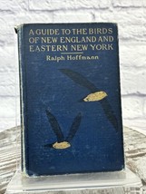 1904 Guide Birds Of New England Eastern New York Ralph Hoffman Ornithology Book - £19.18 GBP