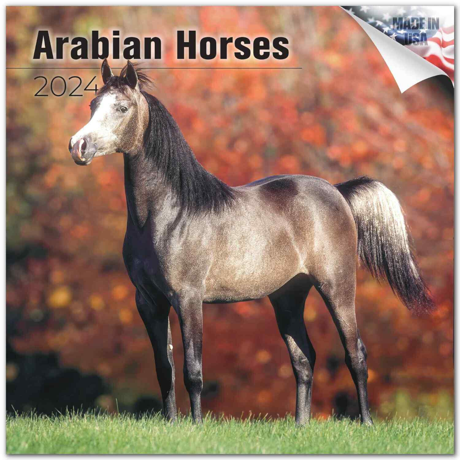 Primary image for ARABIAN HORSES Wall Calendar 2024  Animal PET Lover Gift Horse Saddle Equestrian