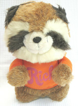 Hasbro Shirt Tales RICK Raccoon Vintage Hallmark Plush Stuffed Animal Ta... - £11.80 GBP