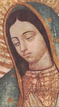 Our Lady of Guadalupe Magnet, New  #MD-065 - $5.57 CAD
