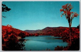 Vintage wooded shores forest Echo Lake Vermont Postcard landscape - £3.93 GBP