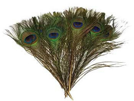 (set Of 100) Peacock Feather - £89.08 GBP