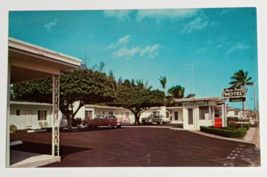 Palm &amp; Pine Motel Old Cars Lake Worth Florida FL Koppel Color Postcard c1960s - £9.00 GBP