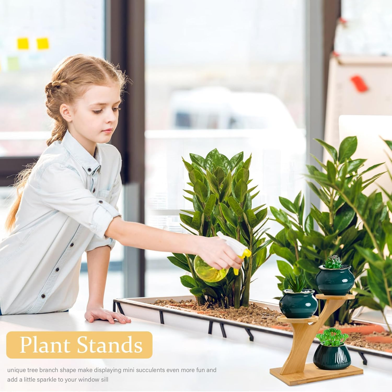 XXXFLOWER Bamboo Plant Stand ,3 Tiers Indoor Succulent Windowsill Shelf - Small  Item image 6