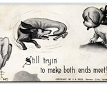 Comic Dog Chasing Tail Trying to Make Ends Meet T Colby DB Postcard J18 - $4.90