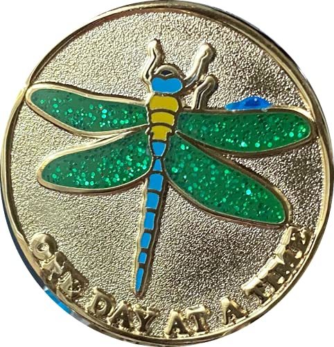 Dragonfly Green Glitter One Day at A Time Serenity Prayer Medallion Chip