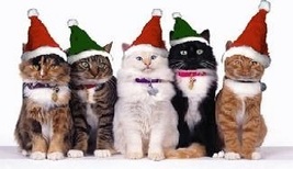 Meowy Christmas - Cat Fridge Magnet #7 - £14.09 GBP