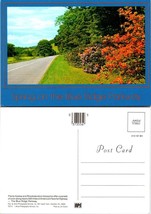 North Carolina Blue Ridge Parkway Spring Flame Azalea Rhododendron VTG Postcard - £7.39 GBP