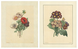 Bundle- 2 Assorted Pierre-Joseph Redoute Vintage Flowers III Lithographs - £308.99 GBP