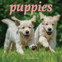 Avalon Summit 2016 Calendar, Mini Puppies (83356) - £4.88 GBP
