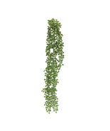 Succulent Stem (Set of 6) - 829262 - $1,122.27 MXN