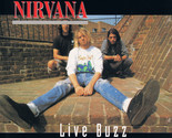 Nirvana Live Buzz CD/DVD Rotterdam, Netherlands 9/01/1991 Good Sound Ver... - $25.00
