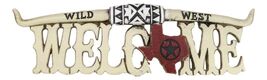 Rustic Western Bone Finish Texas Longhorn Texas Lone Star Welcome Wall D... - €19,01 EUR