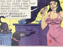 Funny Humor Why Get Married Pets Cartoon Art Laff Gram Postcard Vintage - $9.95