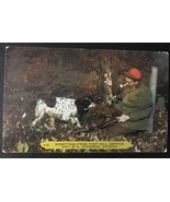 1950&#39;s - 1970&#39;s Postcards - Arizona Rabbit Hunting Dog - £2.86 GBP
