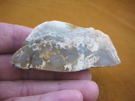 DF601-116) 2 oz Fossil REAL DINOSAUR POOP Coprolite Dino Utah Jurassic D... - $16.82