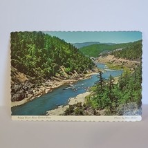Vintage Postcard Rogue River Near Grant&#39;s Pass Scenic Oregon  - $5.93