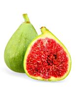 Best Desert King Fig (San Pedro) / Ficus carica / Live Plant - $32.99