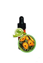 Calendula Essential Oil -3.7ml (1/8oz)-Pure (Calendula Officinalis,Pot Marigold) - £15.41 GBP