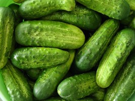 National Pickling Cucumber Seeds 50 Vegetable Fresh Garden - $3.98