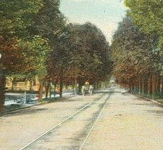 c1910 West Wooster Street Bowling Green Ohio OH Vintage Postcard Buggy - £13.89 GBP