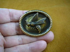 (b-bee-211) Bumble bee honey I love crazy little bees Hornet pin brooch ... - $17.75