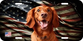 IRISH SETTER FACE CAN PERSONALIZE NOVELTY METAL LICENSE PLATE H - $6.00
