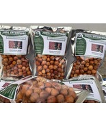 Ziziphus spina Christi fruit, Christ’s thorn jujube, 100g dried fruits  ... - $27.00