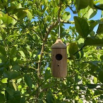 Hummingbird hanging Bird Feeder - £16.46 GBP+