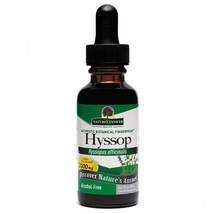 Nature&#39;s Answer, Hyssop Herb, Alcohol-Free, - 30 ml - Original - $17.93