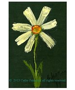 &quot;White Cosmos Daisy in My Garden&quot; 1999 by Cathy Peterson, 12&quot; x 18&quot; FINE... - £132.38 GBP