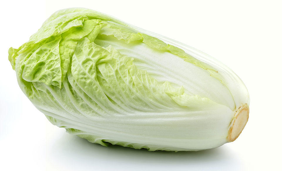 Chinese leaves, Packet of Chinese Cabbage Seeds, BRASSICA PEKINENSIS - $2.45