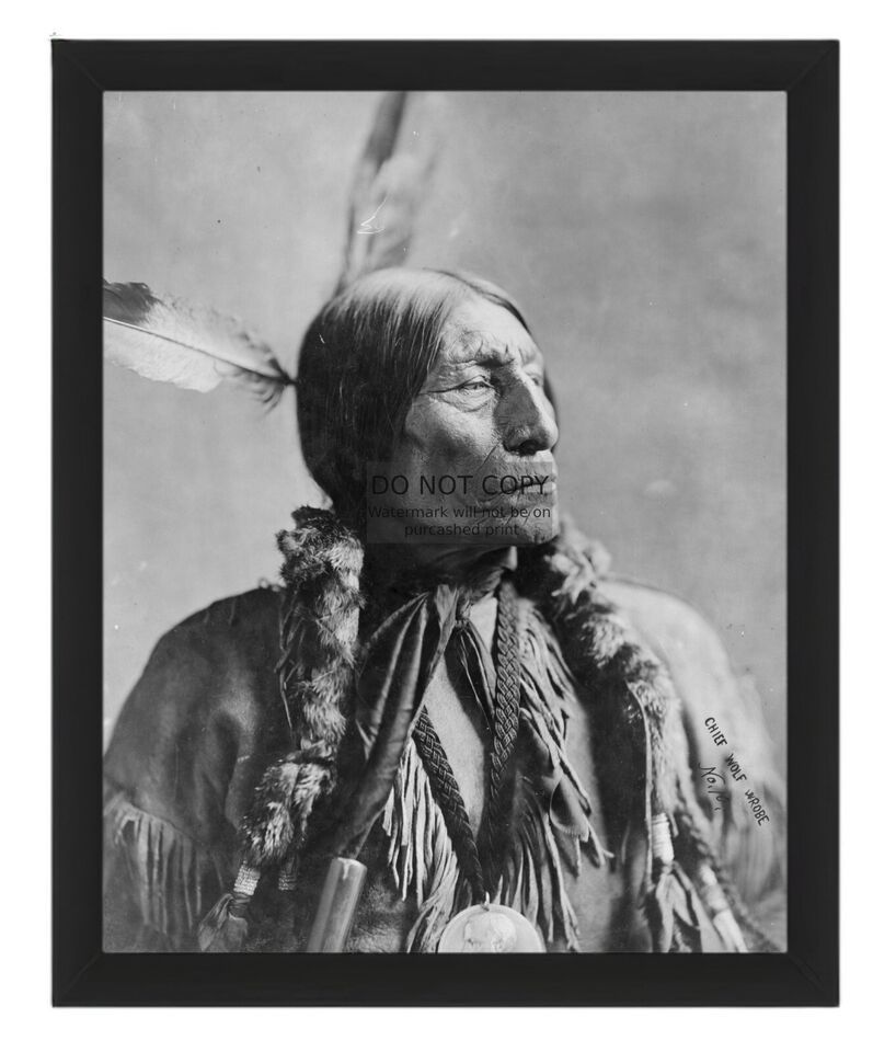 Primary image for CHIEF WOLF ROBE CHEYENNE NATIVE AMERICAN PORTRAIT FEATHERS 8X10 FRAMED PHOTO