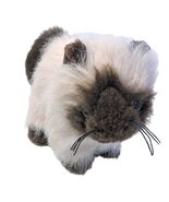 Ganz Webkinz Brown Himalayan Cat Plush Stuffed Animal NO CODE - $11.95