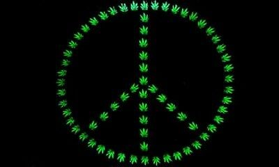 PEACE CIRCLE LEAF 3 X 5 FLAG banner wall hang hippie - $3.79