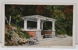 Mackinac Island Michigan DWIGHTWOOD SPRING East Shore Boulevard 1925 Postcard B1 - £10.35 GBP