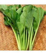 Fresh Organic Edible Chinese Mallow Vegetable, 20 Seeds - £8.24 GBP