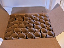 Toilet Paper Rolls Lot of 35 Clean Empty Cardboard For All Craft Church ... - £4.89 GBP