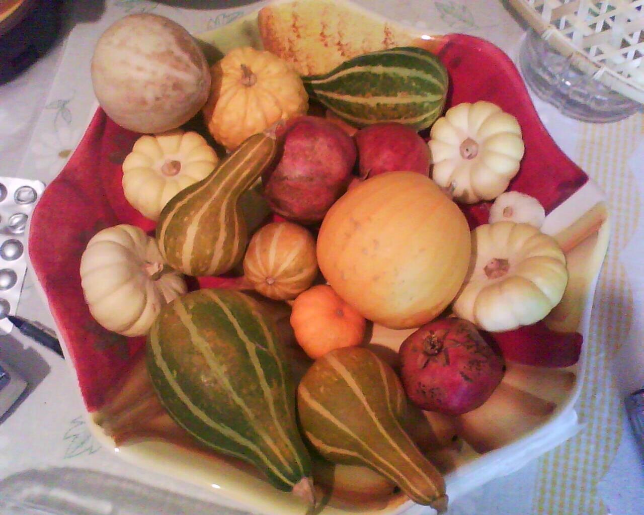 Pumpkin ornamental mix seeds, code 420 Item image 3