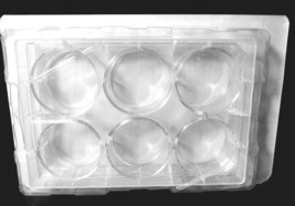 Falcon 353046 Clear Flat Bottom Plate TC-Treated w/Lid (6 Well) ~ Steril... - $25.00