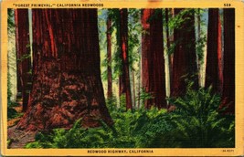 Forest Primeval  Redwood Highway Redwood Trees CA California Linen Postcard  - $3.91