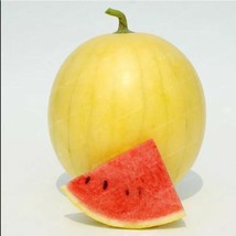 Heirloom &#39;Huang Pi Qiu&#39; Yellow Skin Red Seedless Watermelon -20PCS Seeds - £6.29 GBP