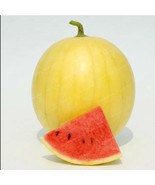 Heirloom &#39;Huang Pi Qiu&#39; Yellow Skin Red Seedless Watermelon -20PCS Seeds - $8.02