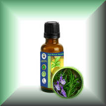 Rosemary (Rosmarinus Officinalis) Essential Oil - $5.00+