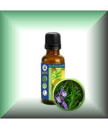 Rosemary (Rosmarinus Officinalis) Essential Oil - $6.83 CAD+