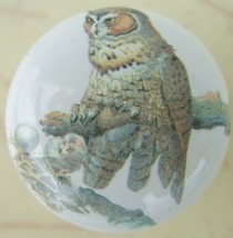 Cabinet Knobs Domestic bird Owl on branch - £4.09 GBP