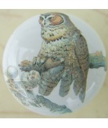Cabinet Knobs Domestic bird Owl on branch - £4.08 GBP
