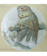 Cabinet Knobs Domestic bird Owl on branch - $7.06 CAD