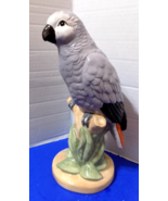 NEW Ceramic Parrots Statue Figurine Tropical Home Decor Birds African Gray - $704.01 MXN